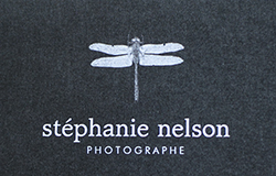 Détails : Stéphanie Nelson photographe