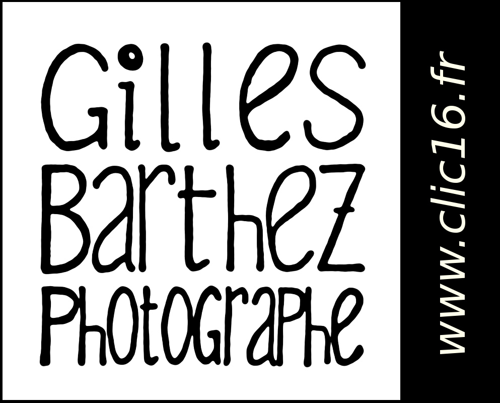 Détails : Photographe mariage Angouleme Cognac Saintes Charente