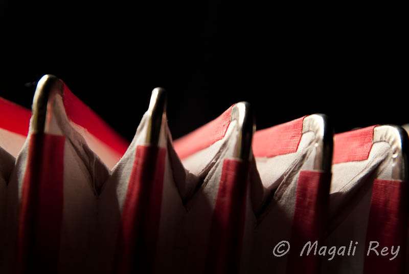 Détails : Magali REY Photographe